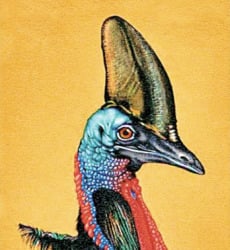 Super Book - The Prize of Prizes for Italian Fiction Writers