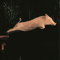 Maurizio Torchio presenta &lsquo;La peggior specie&rsquo;