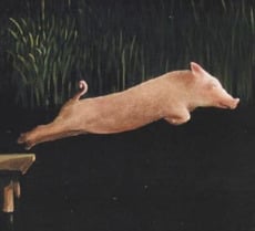 Maurizio Torchio presenta &lsquo;La peggior specie&rsquo;