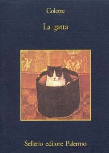 La gatta