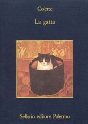 La gatta